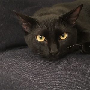 Meet your Posher, Michelle